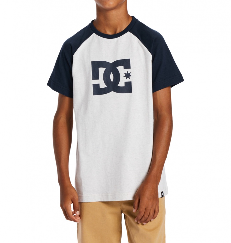 Snow Heather / Navy Blazer DC Shoes DC Star - T-Shirt | TZRQSW-284