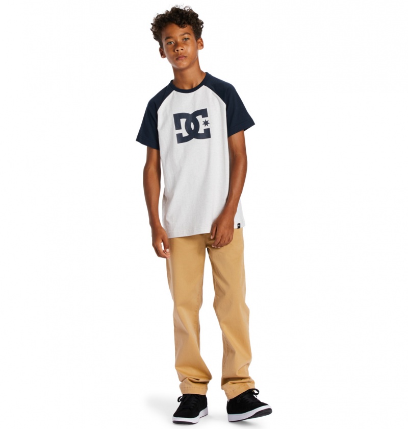 Snow Heather / Navy Blazer DC Shoes DC Star - T-Shirt | TZRQSW-284