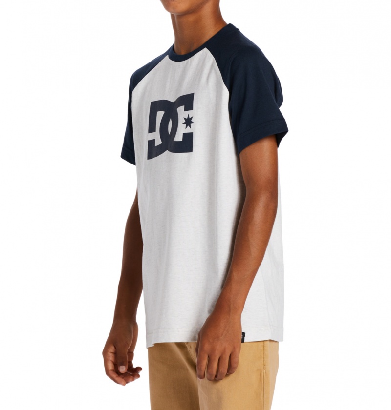 Snow Heather / Navy Blazer DC Shoes DC Star - T-Shirt | TZRQSW-284