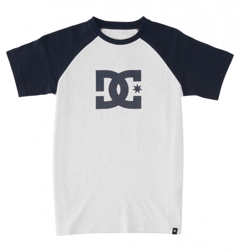 Snow Heather / Navy Blazer DC Shoes DC Star - T-Shirt | TZRQSW-284