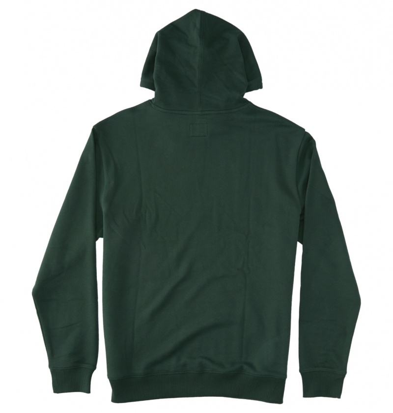 Sycamore DC Shoes DC Star - Hoodie | KQRIHB-320