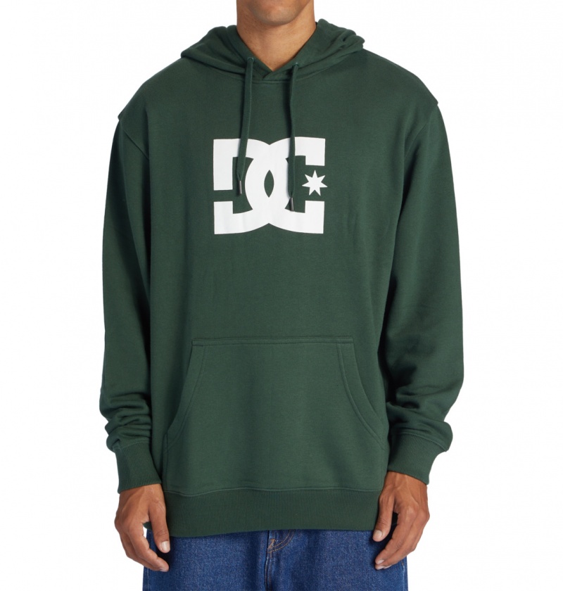 Sycamore DC Shoes DC Star - Hoodie | KQRIHB-320