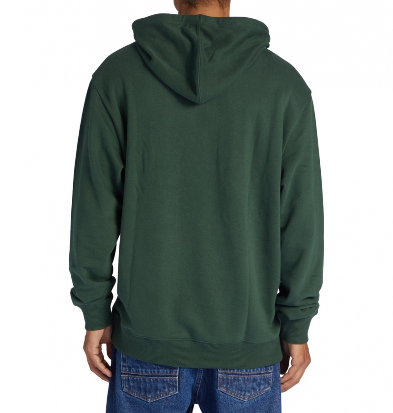 Sycamore DC Shoes DC Star - Hoodie | KQRIHB-320