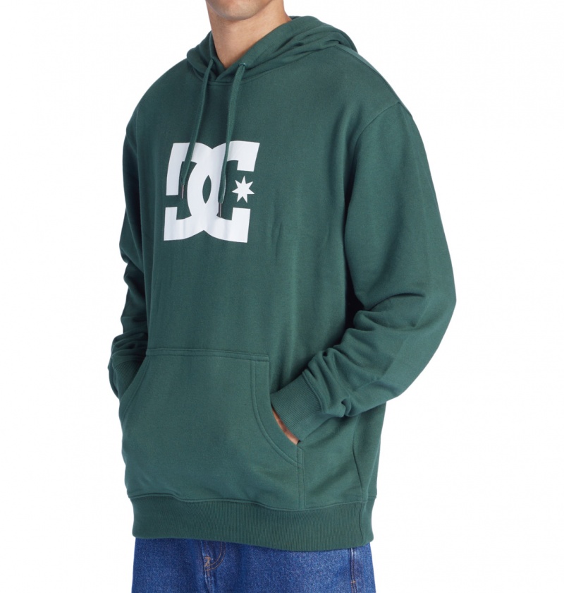 Sycamore DC Shoes DC Star - Hoodie | KQRIHB-320