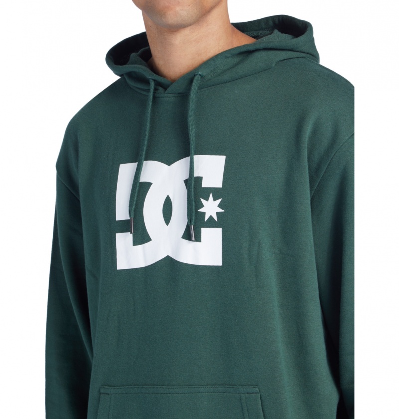 Sycamore DC Shoes DC Star - Hoodie | KQRIHB-320