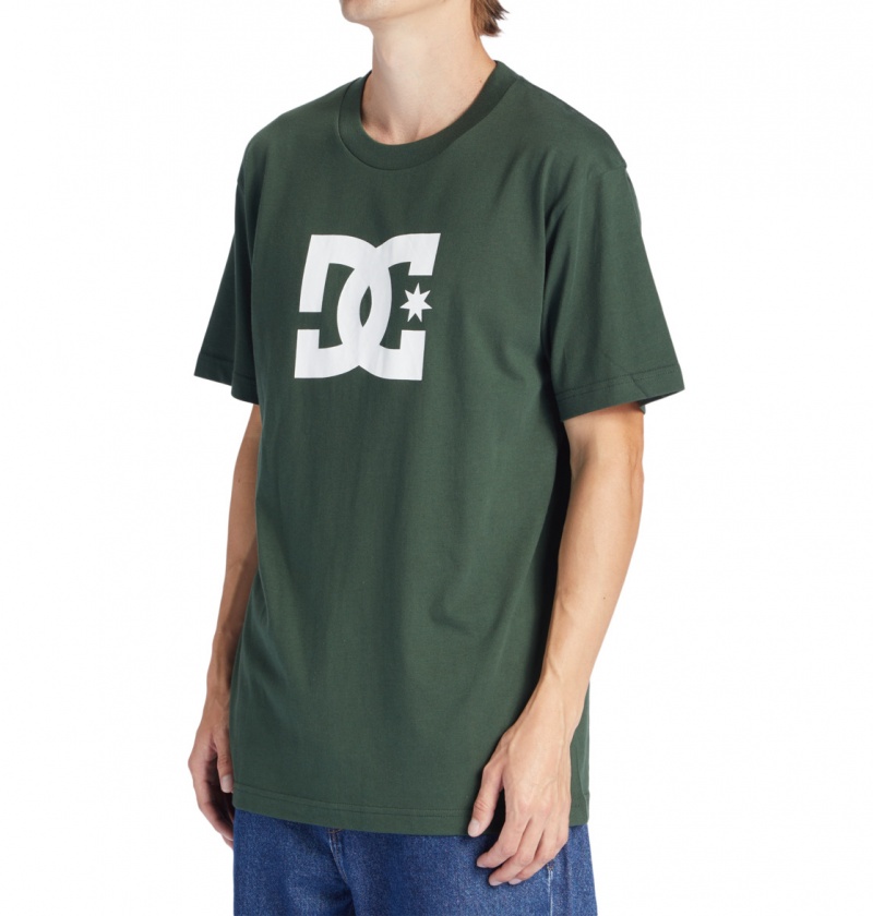 Sycamore DC Shoes DC Star - T-Shirt | RFQJBN-237