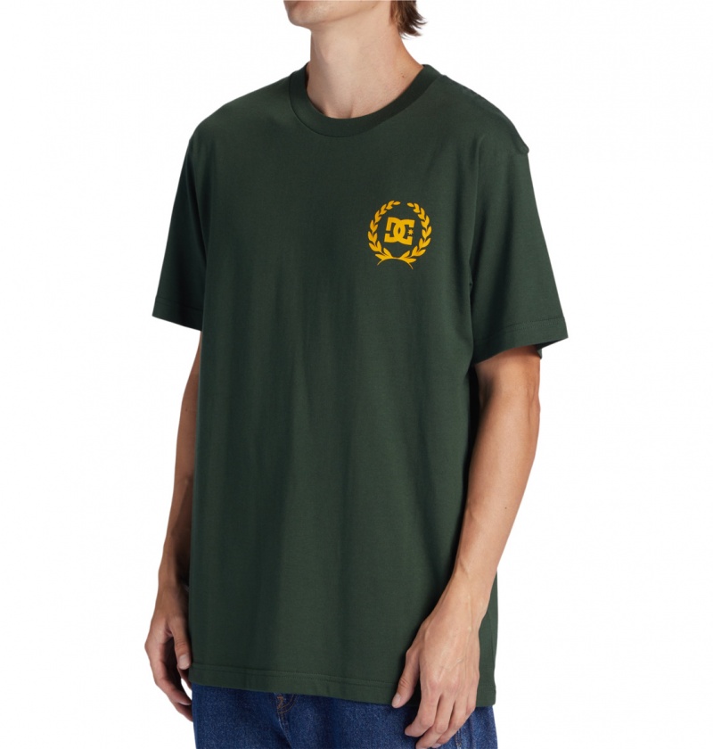 Sycamore DC Shoes Lifes Changing - T-Shirt | BVJTYE-418