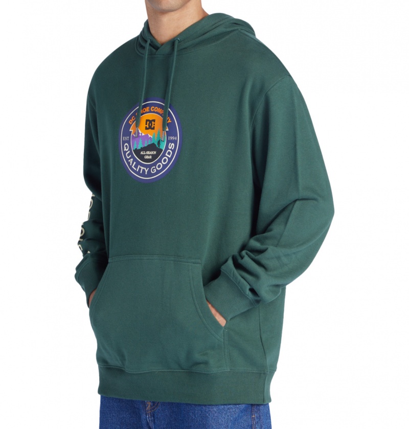 Sycamore DC Shoes Outdoorsman - Hoodie | LVBQYU-714