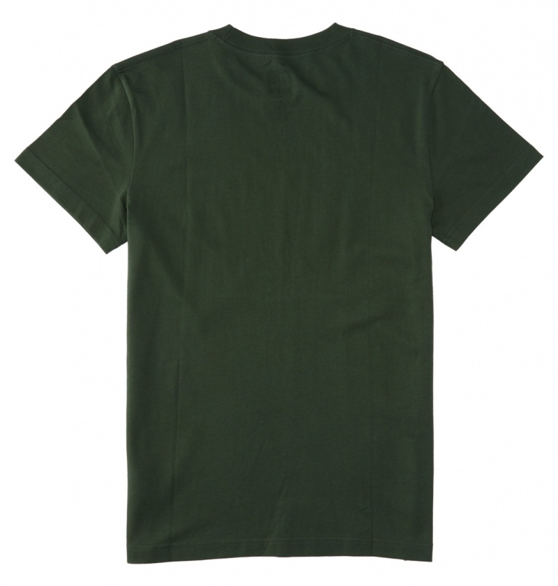 Sycamore DC Shoes Outdoorsman - T-Shirt | GDYVEX-826