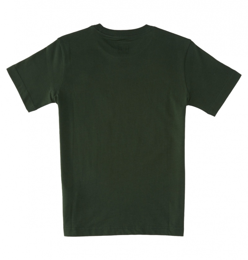 Sycamore DC Shoes World Renowed - T-Shirt 10-16 | KYCWER-037