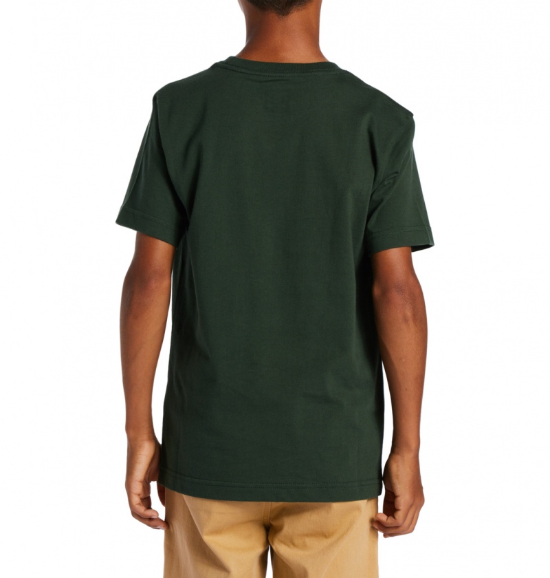 Sycamore DC Shoes World Renowed - T-Shirt 10-16 | KYCWER-037