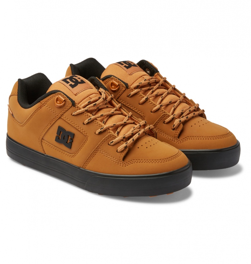 Wheat DC Shoes Pure WNT - Winterised Shoes | ECZMFG-415