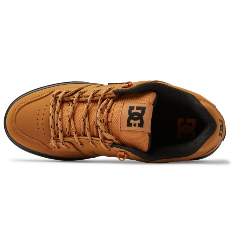 Wheat DC Shoes Pure WNT - Winterised Shoes | ECZMFG-415