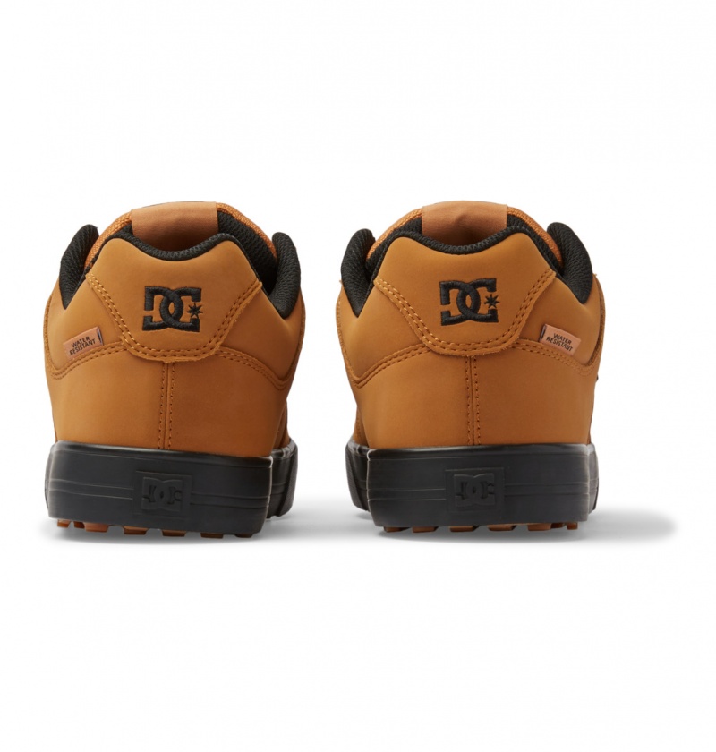 Wheat DC Shoes Pure WNT - Winterised Shoes | ECZMFG-415