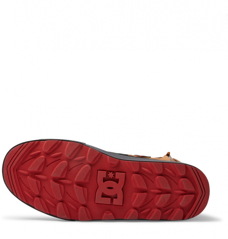 Wheat / Black DC Shoes DC Reach - Water-Resistant Shoes | GFWBNI-635