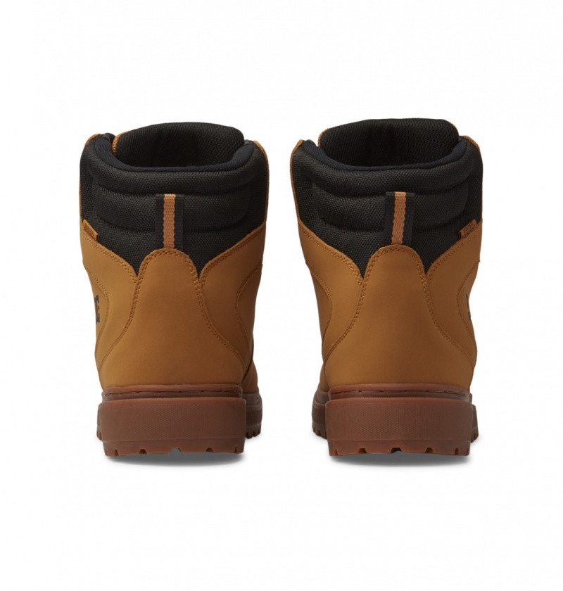 Wheat / Black DC Shoes Peary Tr - Leather Boots | OFQSZP-786