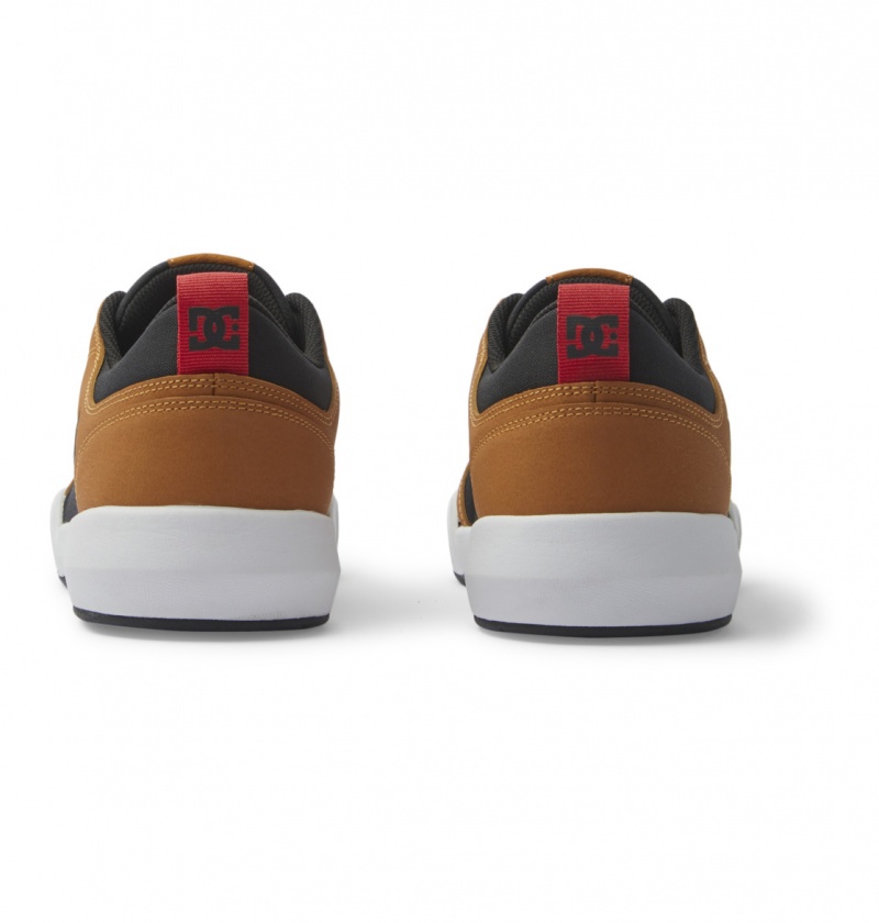 Wheat / Black DC Shoes Transit Wnt - Winterized Shoes | TNUYZI-935