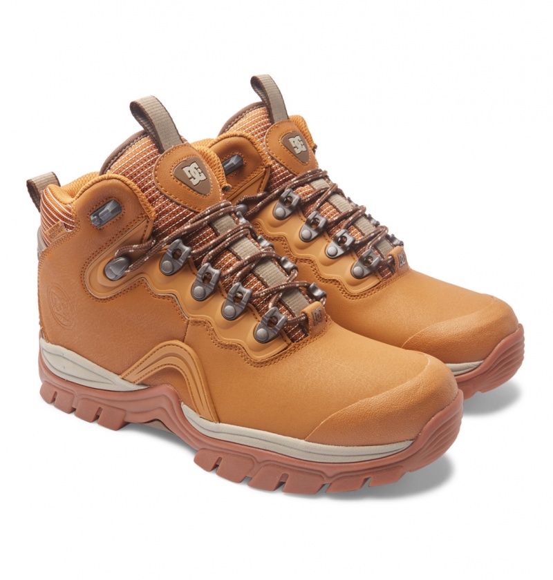 Wheat / Dk Chocolate DC Shoes Navigator - Leather High Top Boots | RNPALV-427