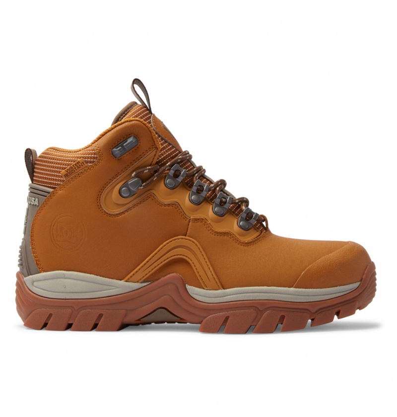 Wheat / Dk Chocolate DC Shoes Navigator - Leather High Top Boots | RNPALV-427