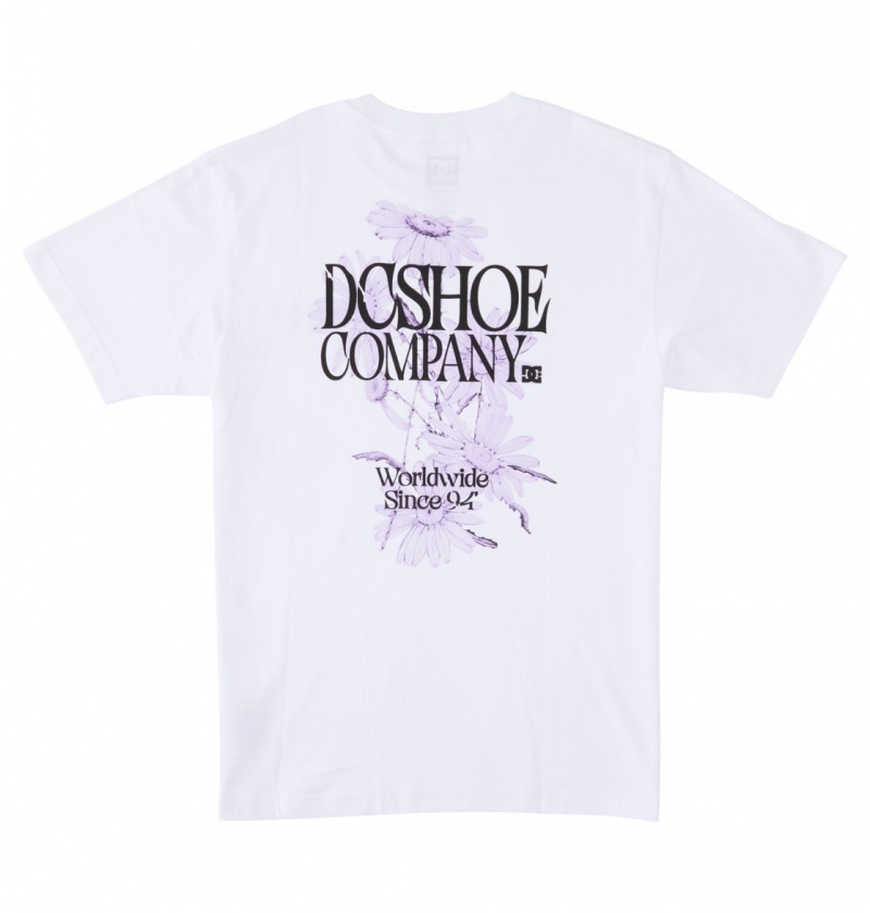 White DC Shoes Decline - T-Shirt | IFDWGV-082