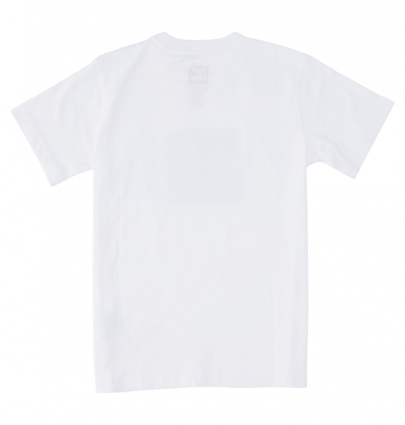 White / Greystone DC Shoes DC Square Star Fill - Short Sleeve T-Shirt 8-16 | AHCBUR-460