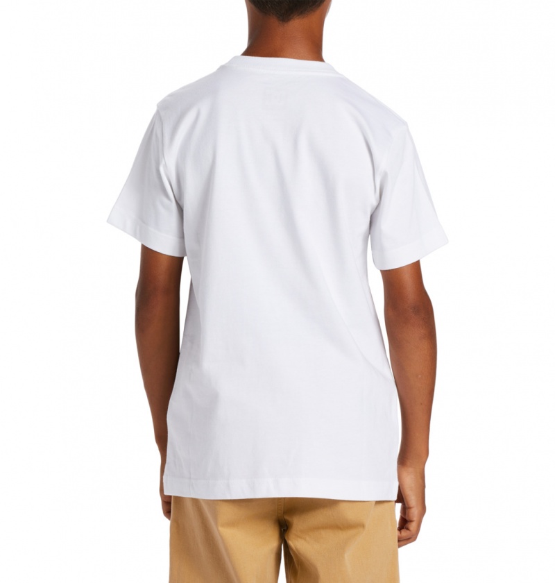 White / Greystone DC Shoes DC Square Star Fill - Short Sleeve T-Shirt 8-16 | AHCBUR-460